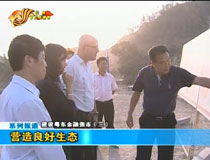 營造良好生態(tài)