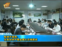 陳綠平強(qiáng)調(diào):全面加快中德金屬生態(tài)城建設(shè)